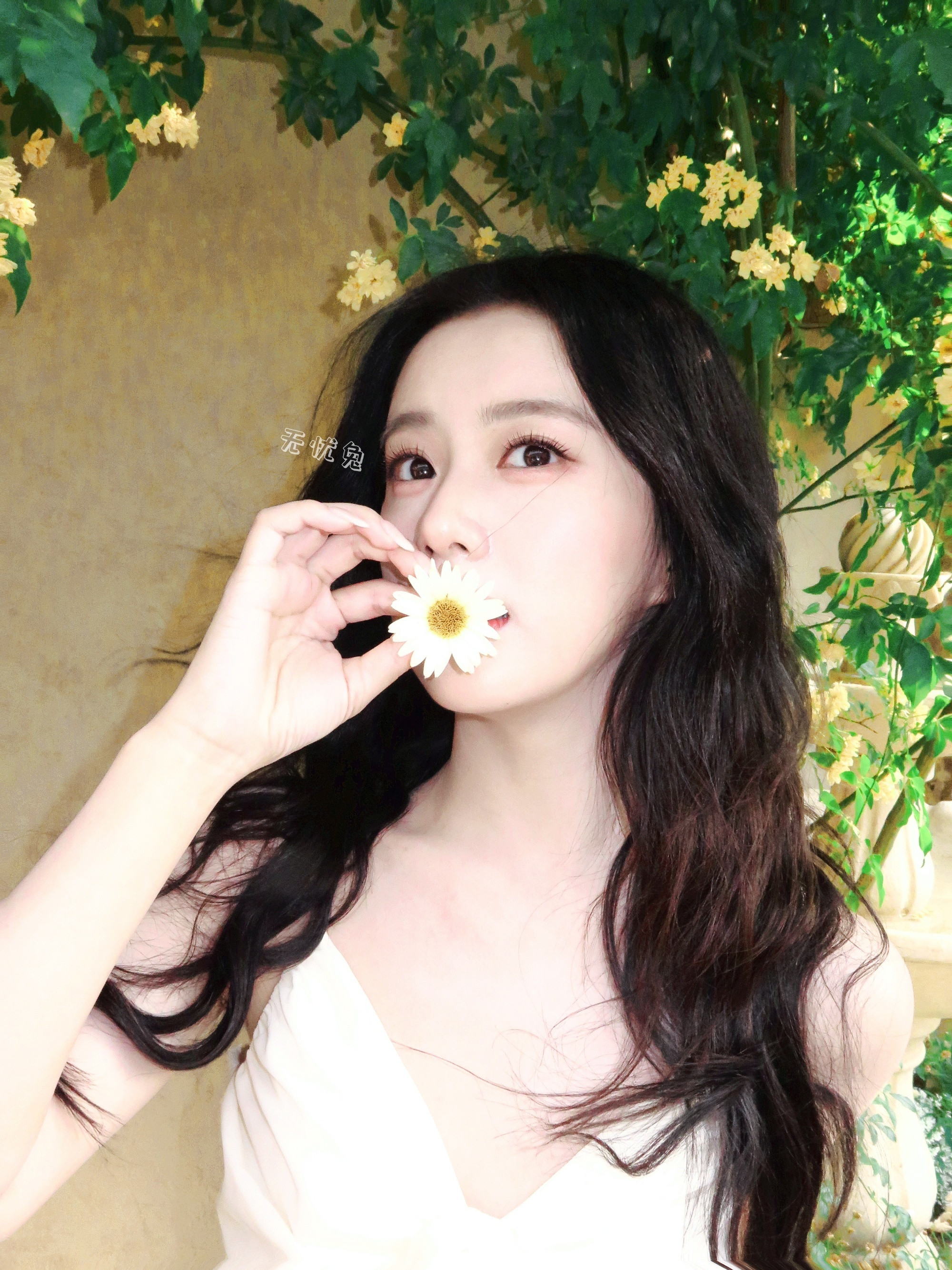 包上恩💛包上恩江湖夜雨十年灯💛包上恩蔡昭圣诞是冬的来信，而你是我的惊