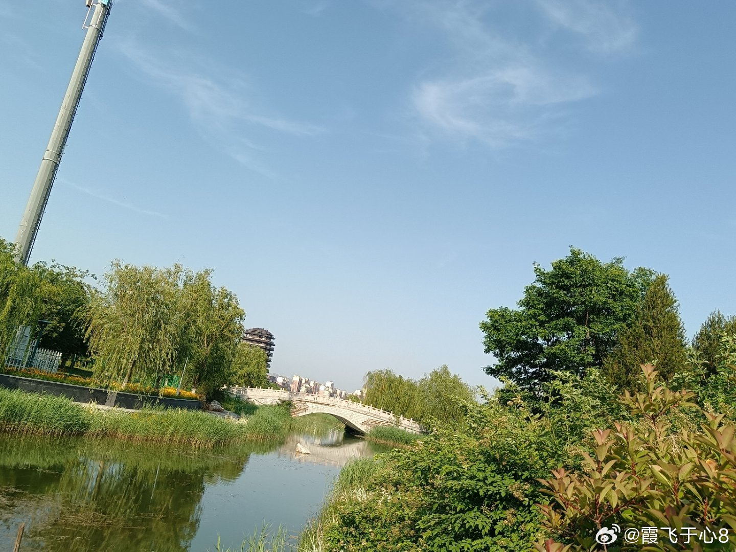 手机摄影夏日好风光美好无限诗意绵绵