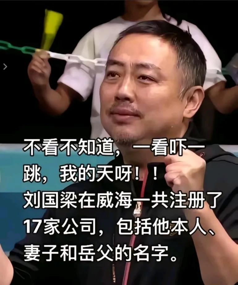 不看不知道一看吓一跳，刘国梁在威海注册了17家公司，包括他本人，妻子和岳父的名字