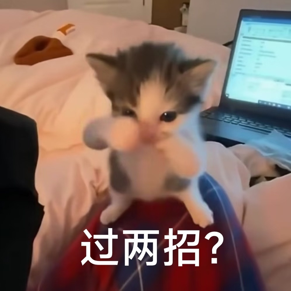 低脂小猫表情包
