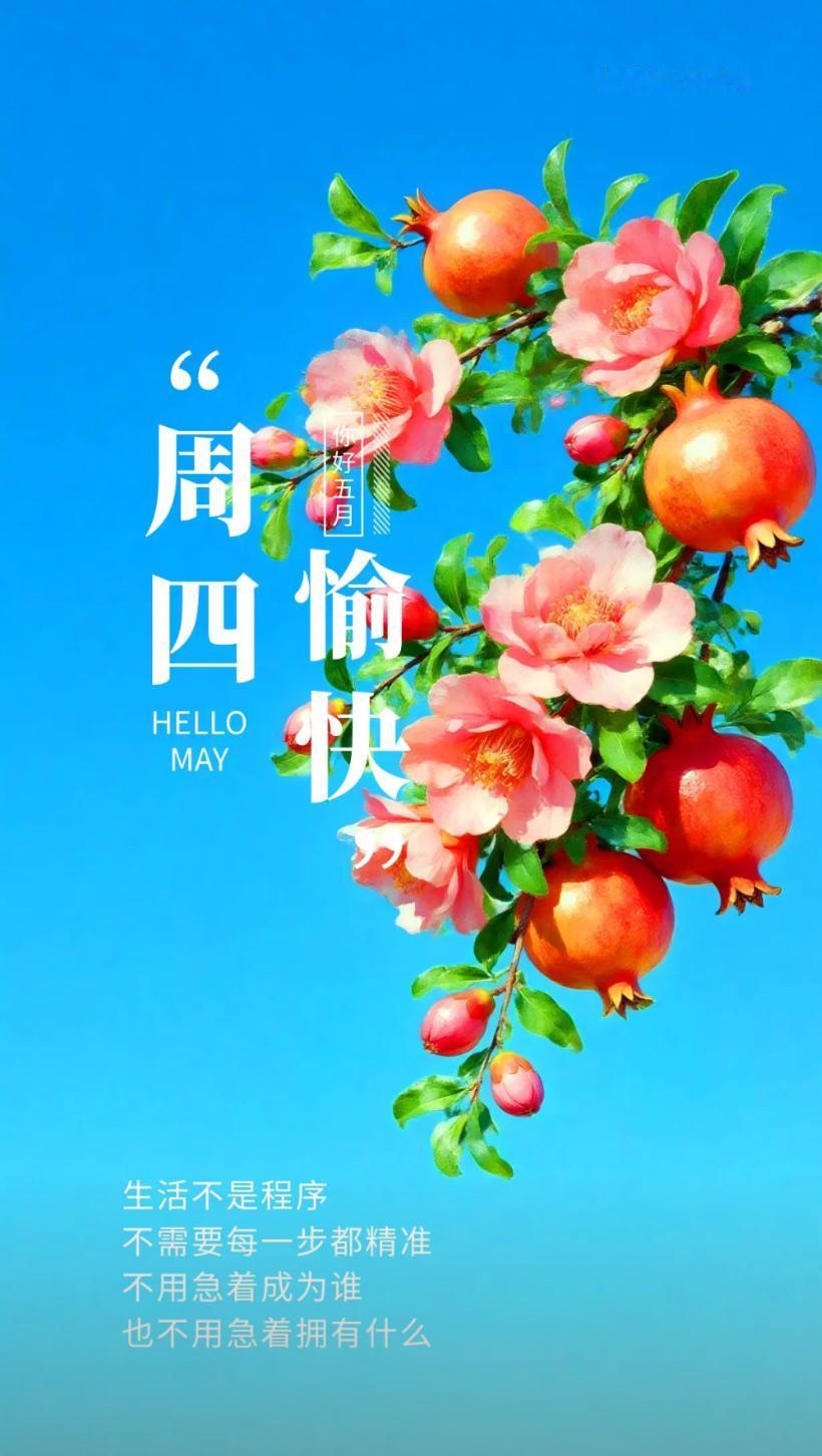 夏晨问安，清风缱绻赴浅夏，晨光柔煦佑万家。2026./.14.[玫瑰