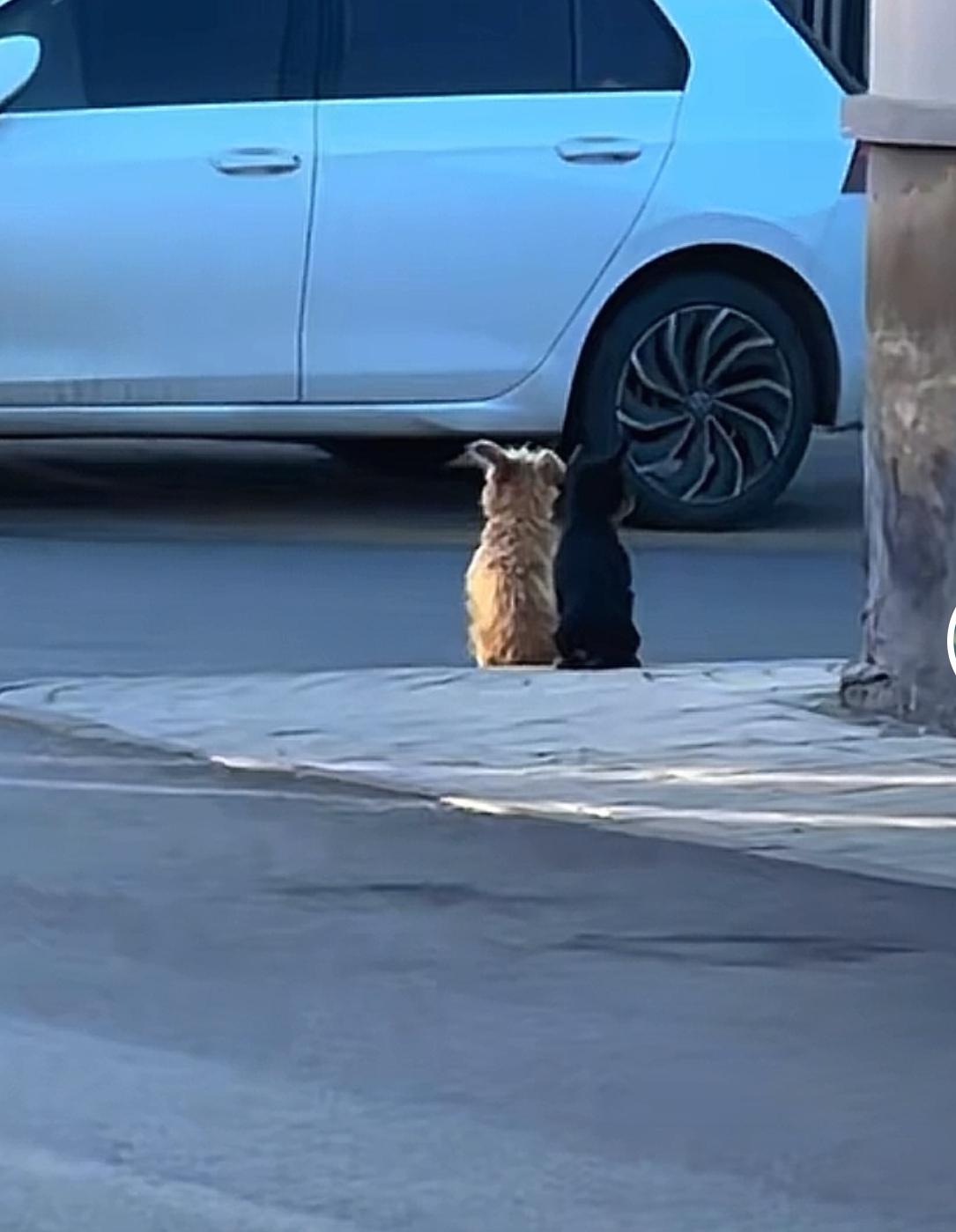 婚姻不是生意，切记不要把付出当筹码。老张妻子是律师，年薪比他高不少。他嫌老张