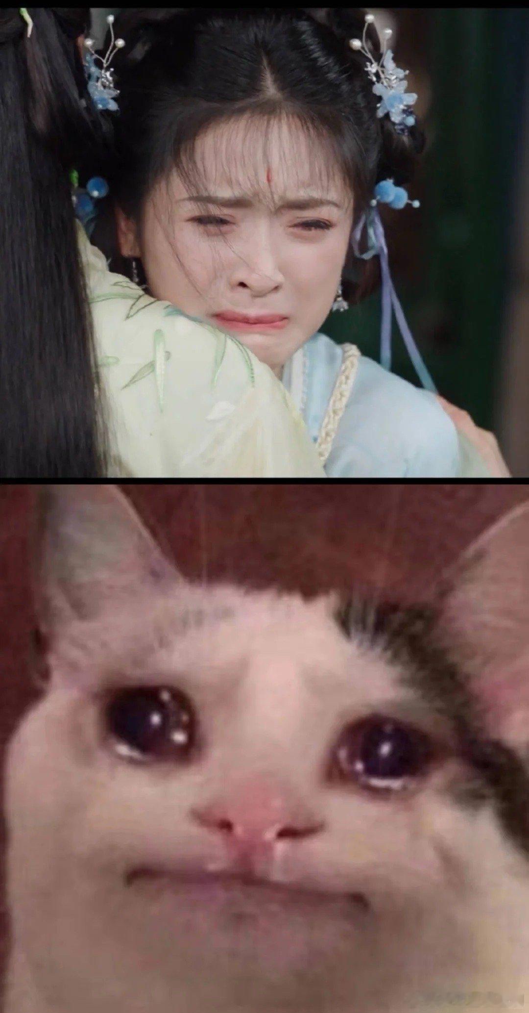 秦兰宝宝哭成小猫咪了……小孩哭法[doge][doge]很符合秦兰了哈哈哈虽然在