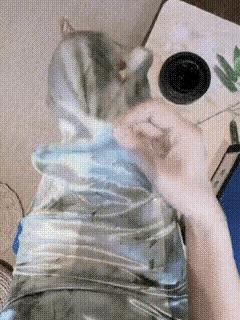 不得不说，这书法写得真好。