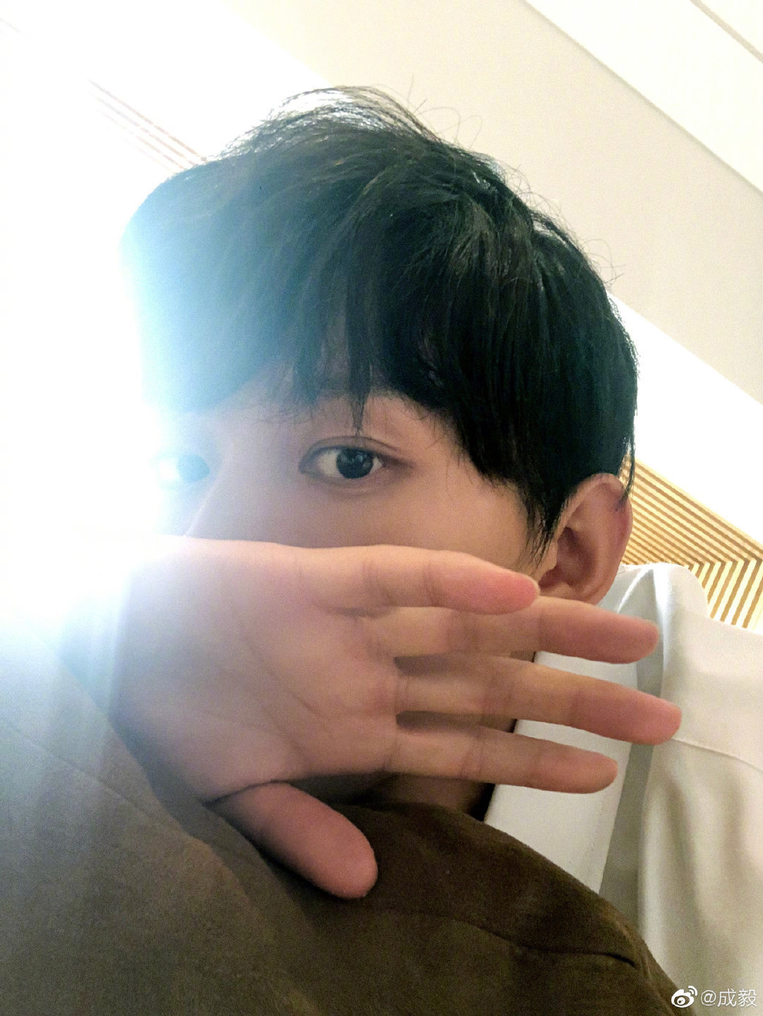 看到文字，脑子里都是成毅演绎的名场面！都来猜一猜，这都是成毅的哪部剧？？图也砸过