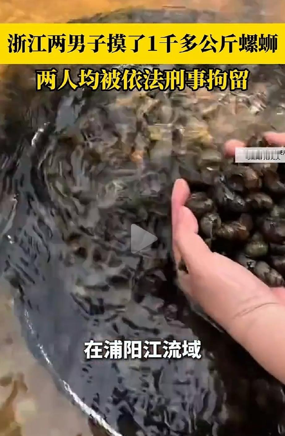 摸螺蛳犯法？浙江，两名男子深夜偷偷跑到河里，忙活大半夜，摸了34袋，1000公斤