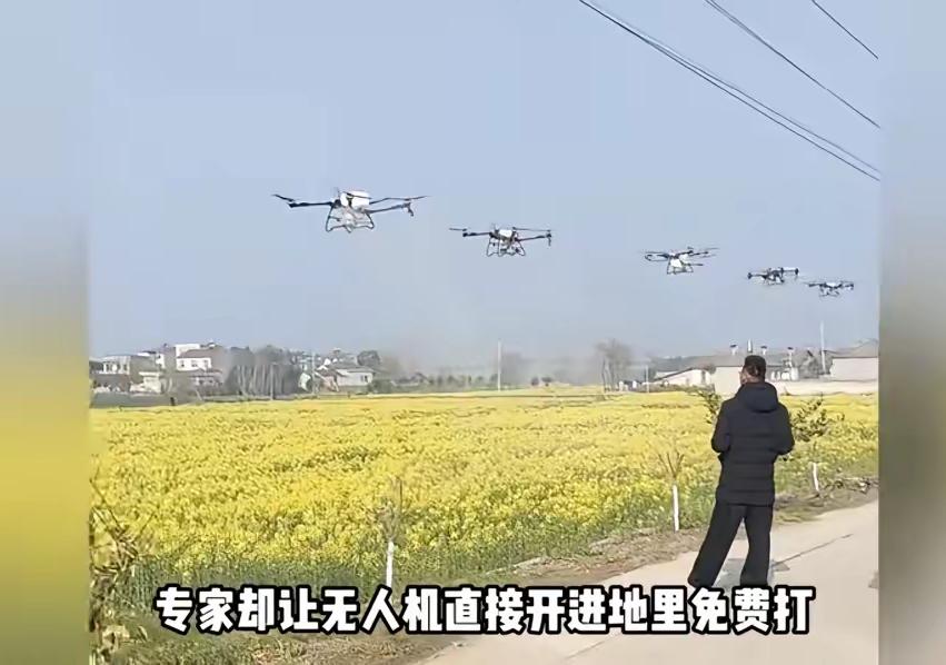 油菜花要不要打药，种油菜的说了不算，专家说了算？​我种的油菜，我不想打药，专