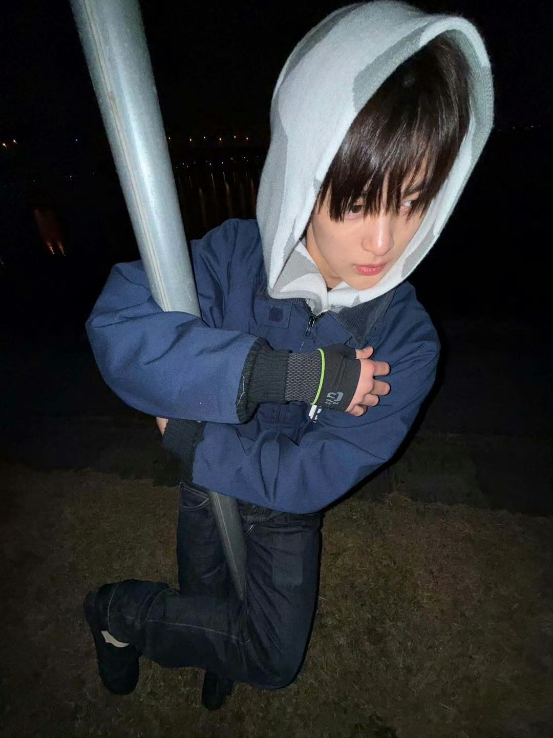 全世界最可爱的小狗