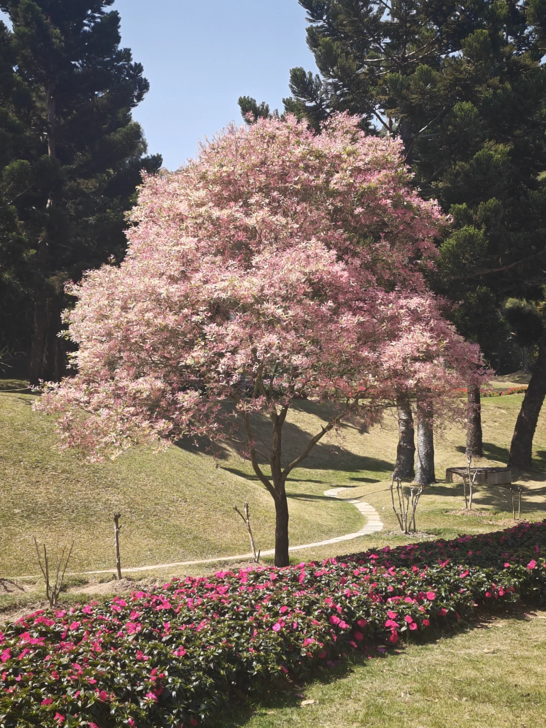 真的太喜欢厦门了！