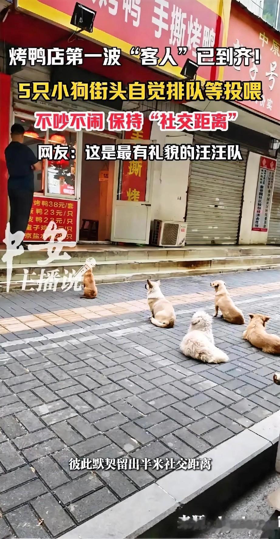该来的还是来了，大批该收到货的网友，却被老板通知：货不去你那了。赵老板是卖烤