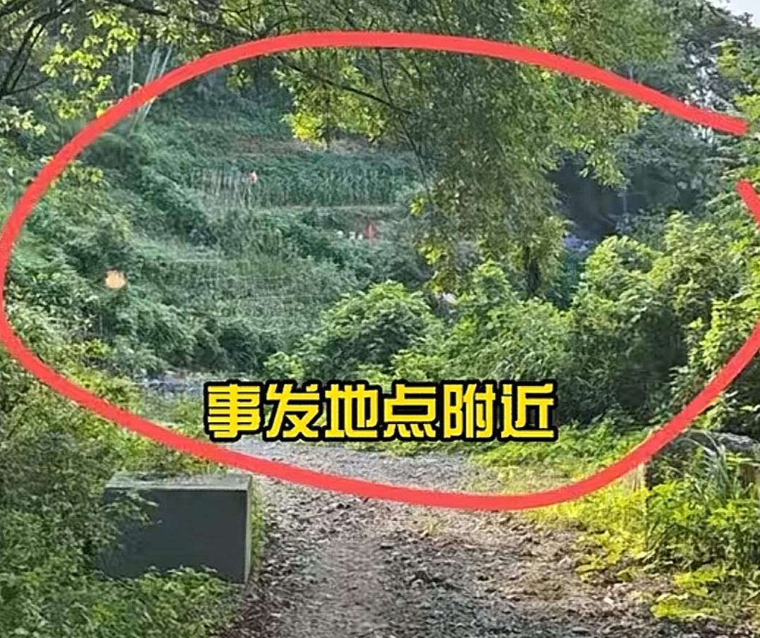 抓到人了，杭州的“化骨水”，原来是10年扔的！艾某槟，做外墙清洗的，10年前就住