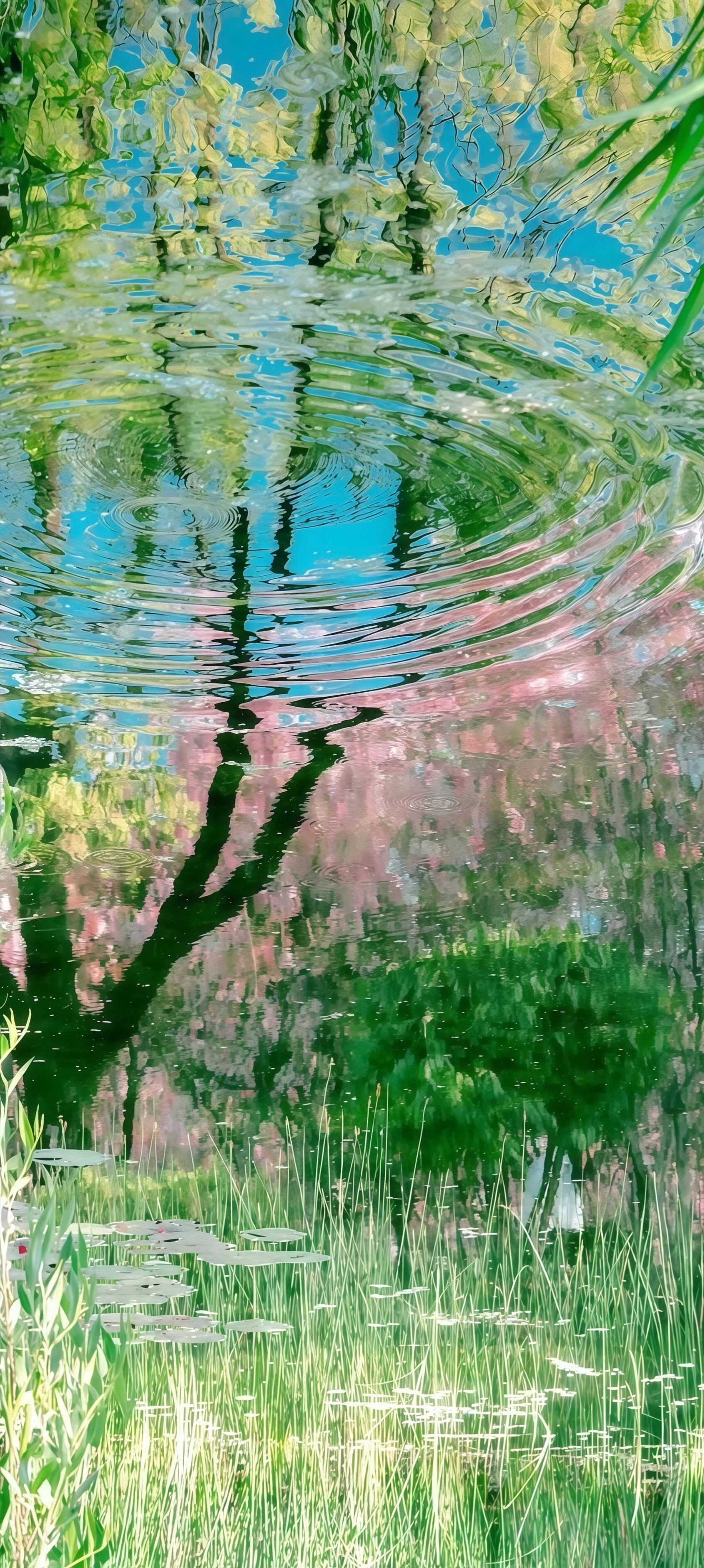 治愈风景壁纸｜听风𓂂𓏸看云☁️赏花🌸