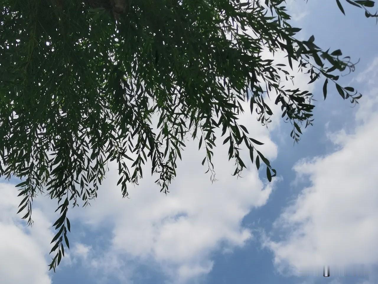 你知道吗？不管婆婆对你再好，有两条底线千万不要碰，否则会影响你们的夫妻感情！一