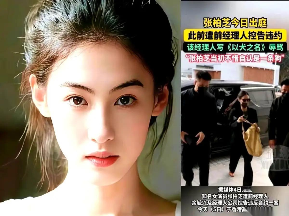 这哥们儿把张柏芝告了，说她收了钱不拍戏。本以为是场一边倒的捶打，结果剧情急转直下