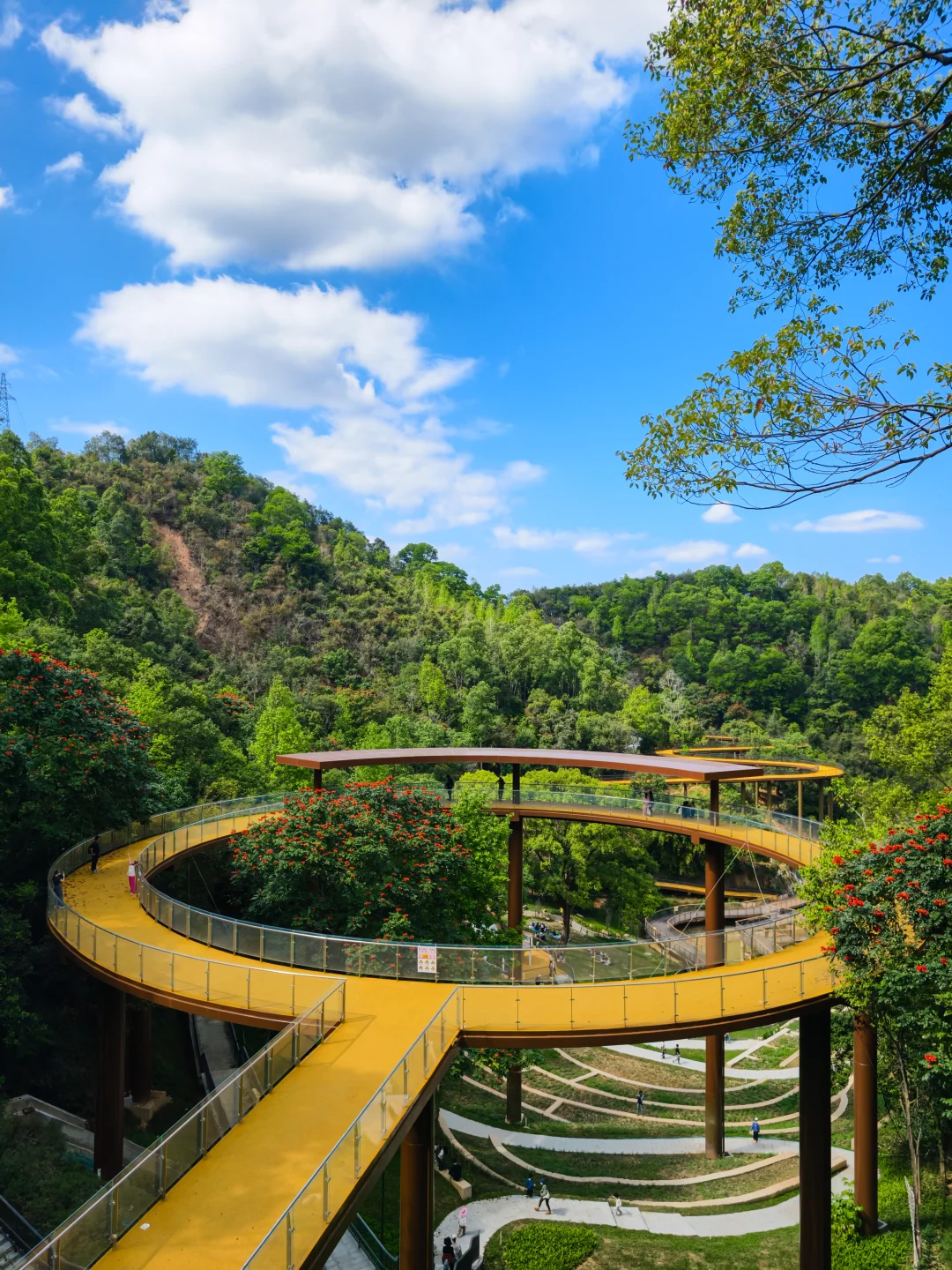 火出圈🔥这会是深圳公园天花板吗❗️