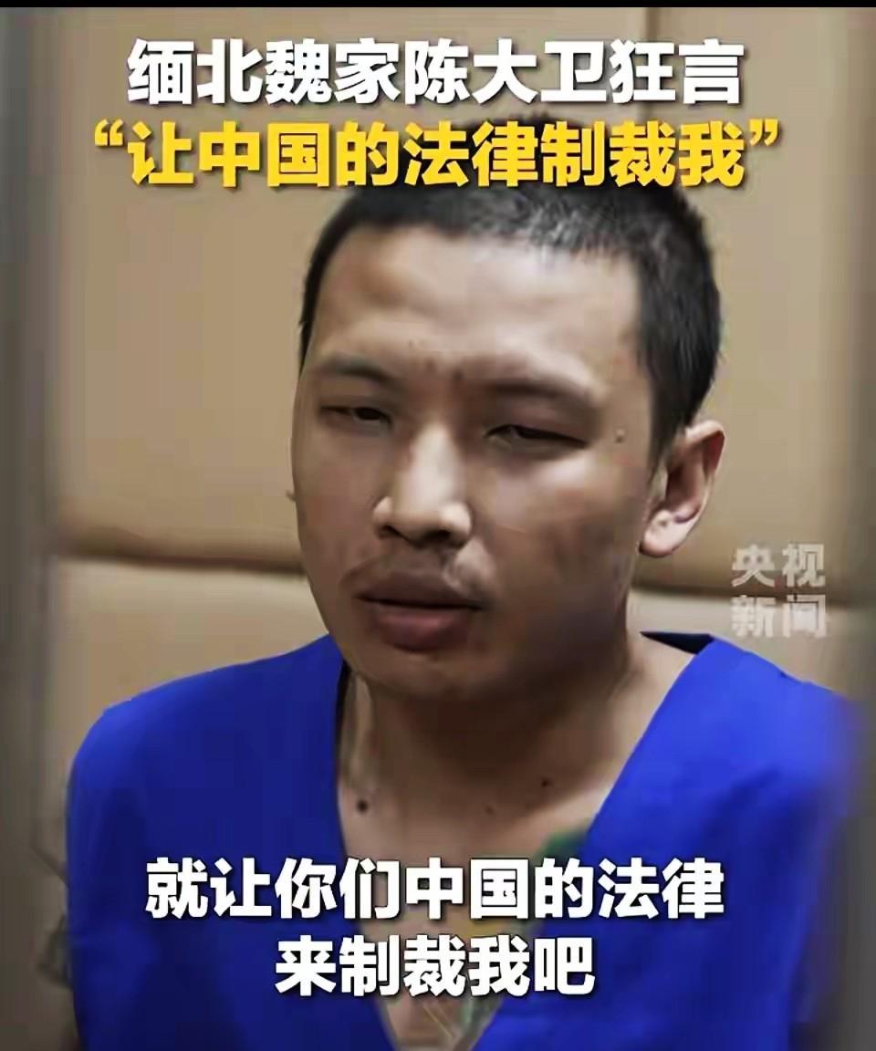 如何看待残暴冷血、丧失人性的魏家罪魁陈大卫？真是地狱空荡荡，恶魔在人间！谁能