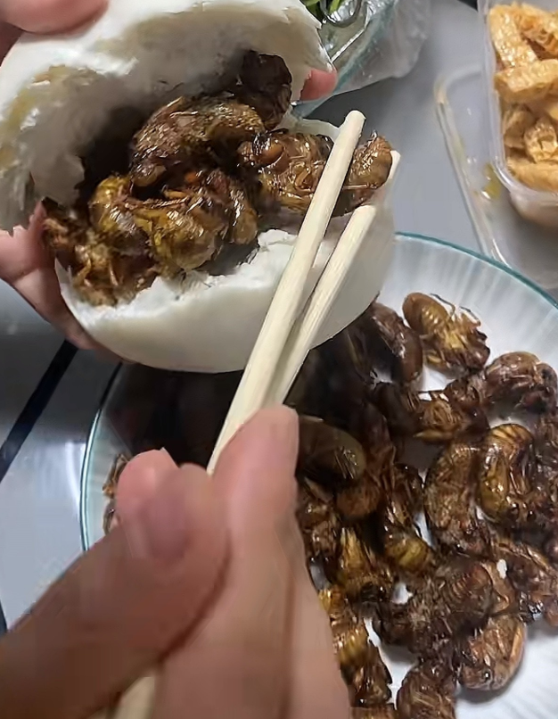 这是哪里的特色美食？真敢吃啊！