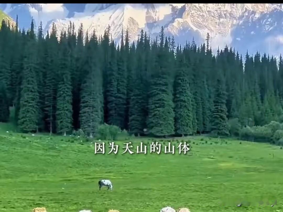 新疆天山，新疆女导游给台湾游客讲解天山胜利隧道，讲得太好了，我也是第一次这么详细