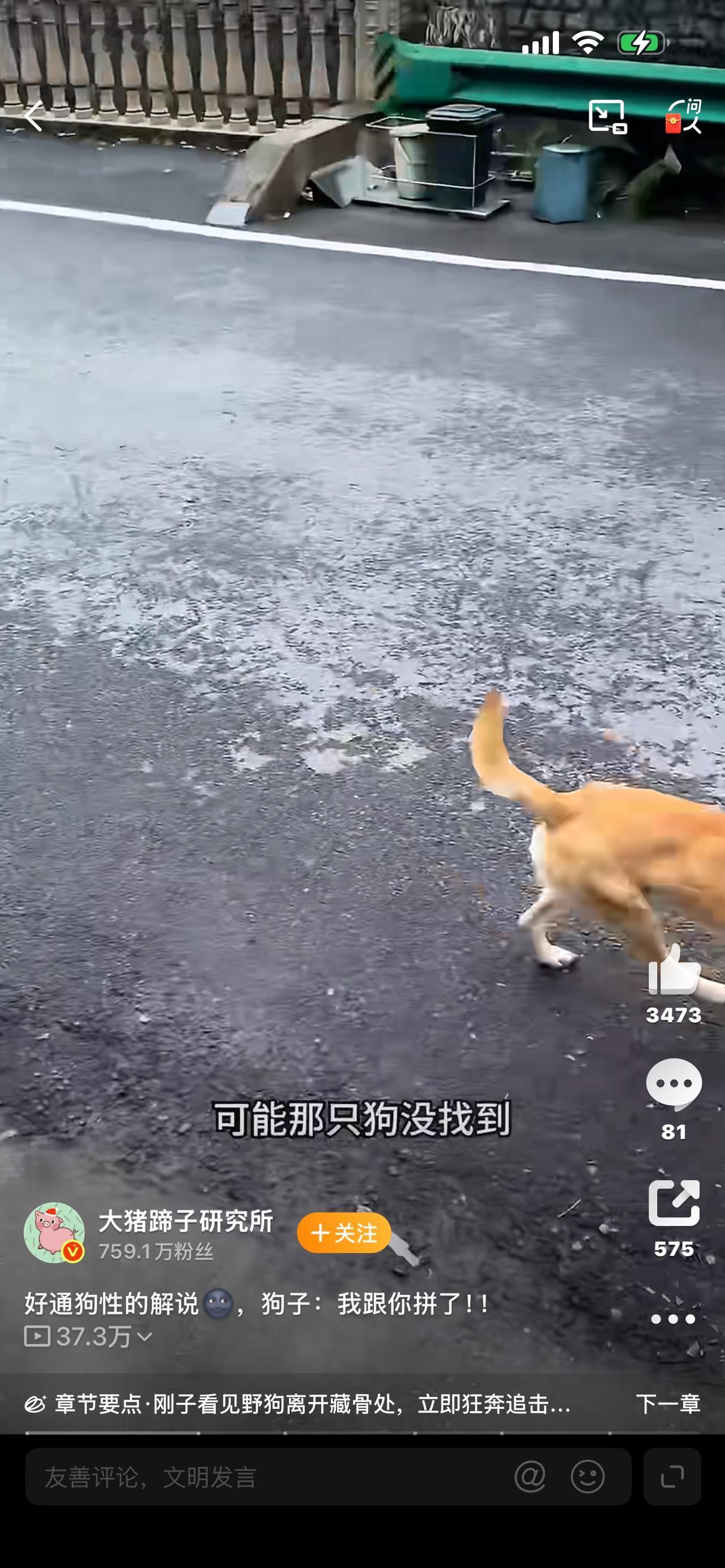 狗出大事了！没空跟你解释！全网怒了，这到底是谁给的胆子？家人们！先别划走！这