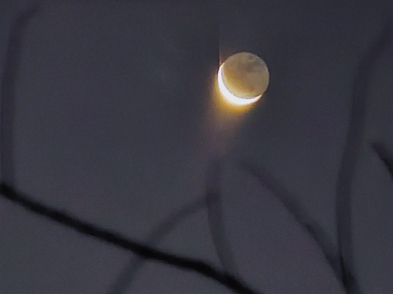 月亮摄影日常࿆生活处处是风景