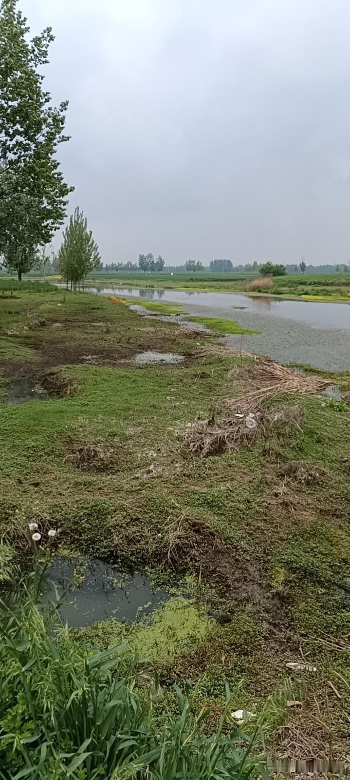 人只有专注自己的时候才会变得明媚开朗。精力放在别人身上反而会变得贪婪拧巴又扭曲