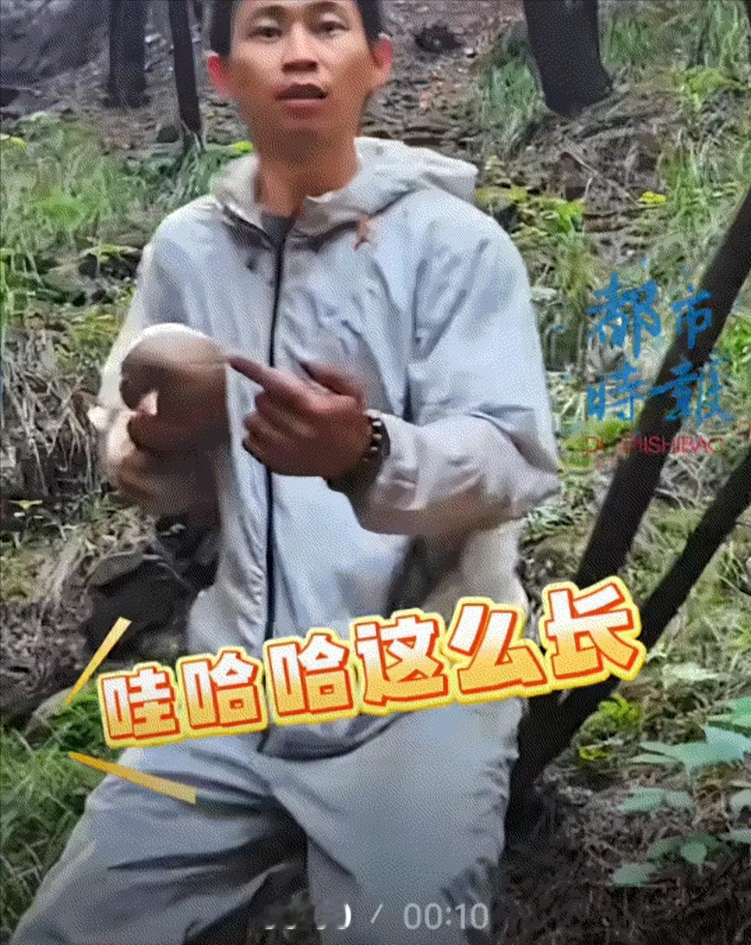 “笑不活了！”重庆几名小伙结伴进山寻觅鸡枞，都知道鸡枞依附白蚁巢穴生长，无法人工