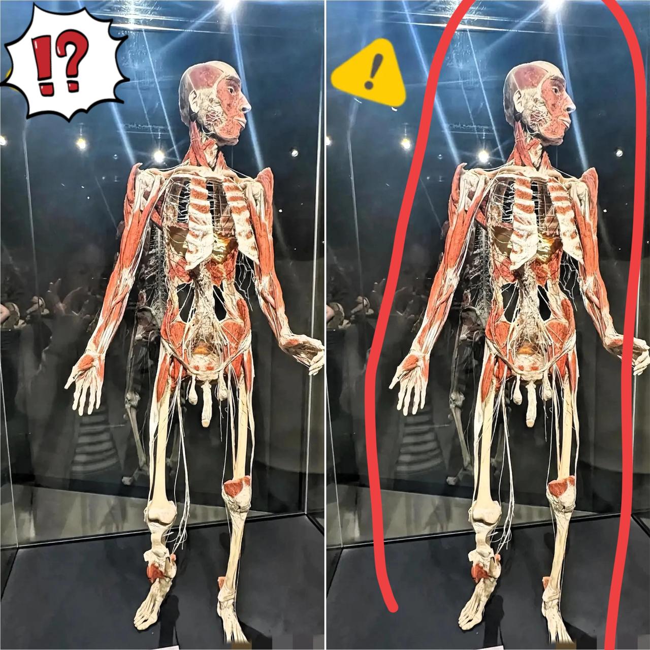 一眼看穿的熟悉感，这尊展在美术馆的展品是不是让你瞬间愣住？没人能想到，这