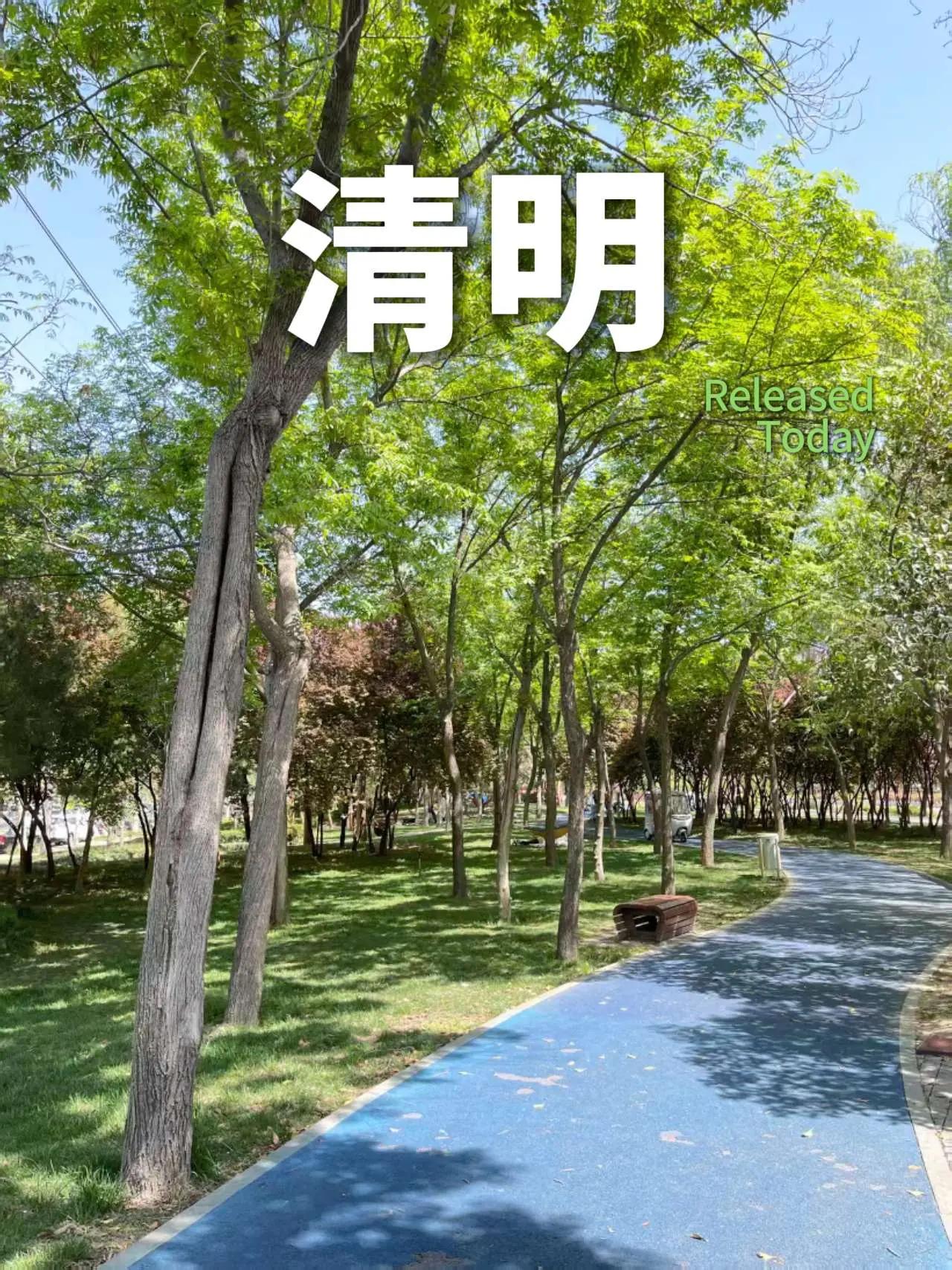 清明。慢生活治愈系风景城市绿洲清明