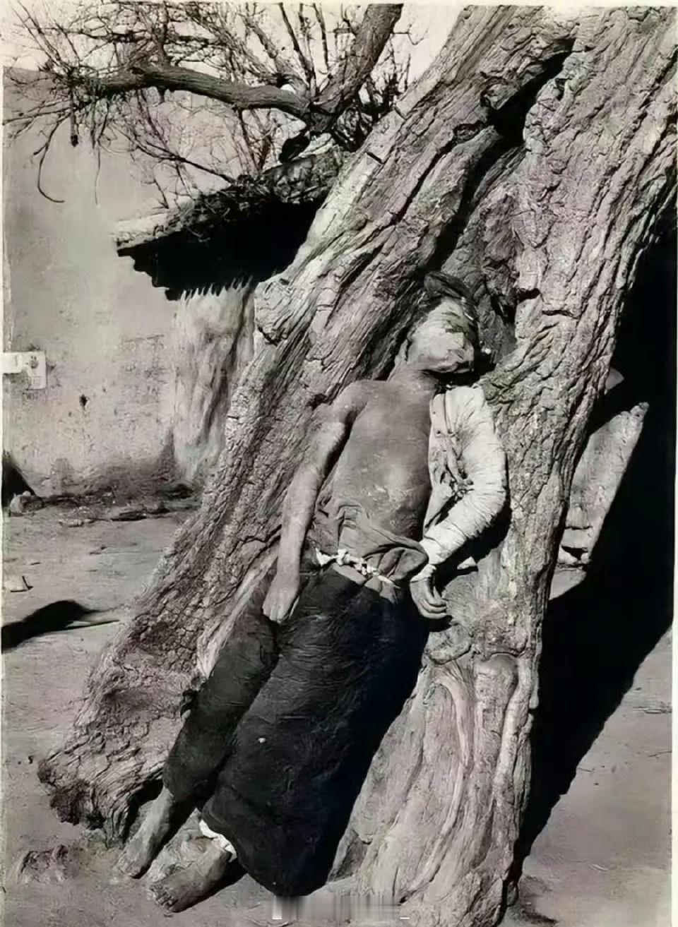 1937年，甘肃。西路军一名年轻的女战士，被马步芳的“马家军”钉死在老槐树上。