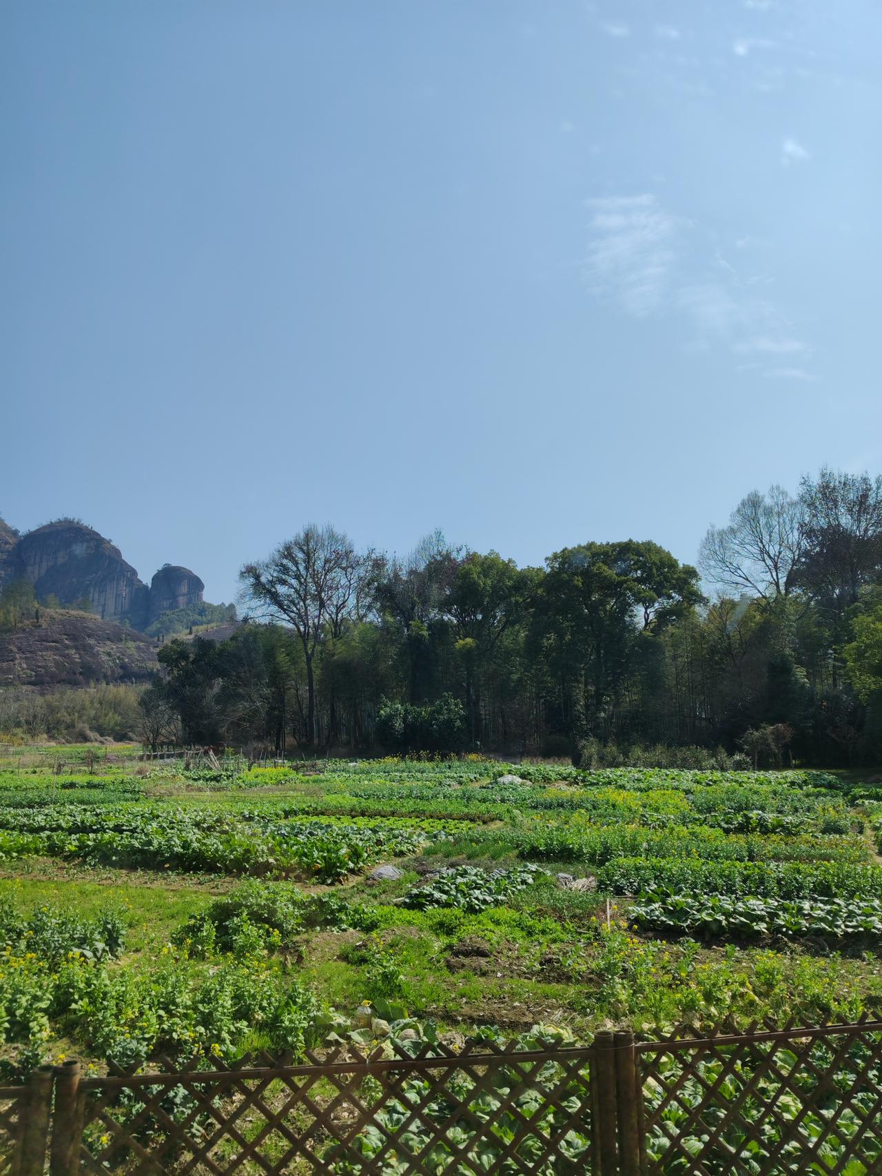 当班主任最实用的技巧就是能够说服自己的学生，做好他们的思想工作。现在的学生很脆弱