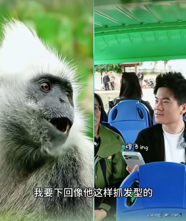 董宇辉阅山河，可以成立个动物版块，就叫《董宇辉和它的动物们》。发现没，董宇辉