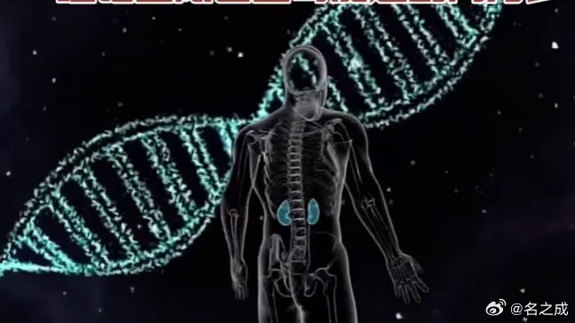 【视频】葡萄牙科学家颠覆论断：人类寿命上限或将突破千年，基因重编程可达两万岁中