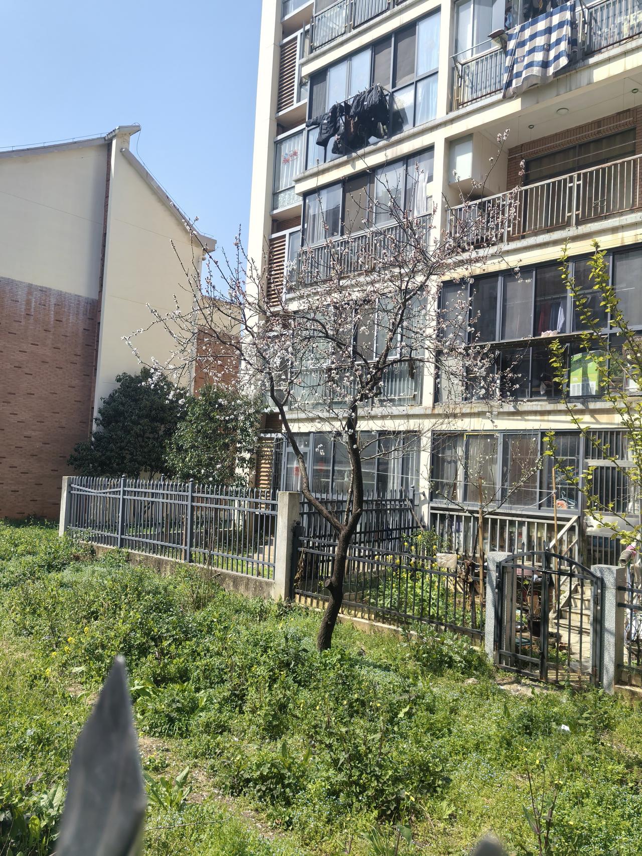 想保持快乐的心情，方法还不少。首先得加强自我修养，做个平和善良、善解人意的人，这