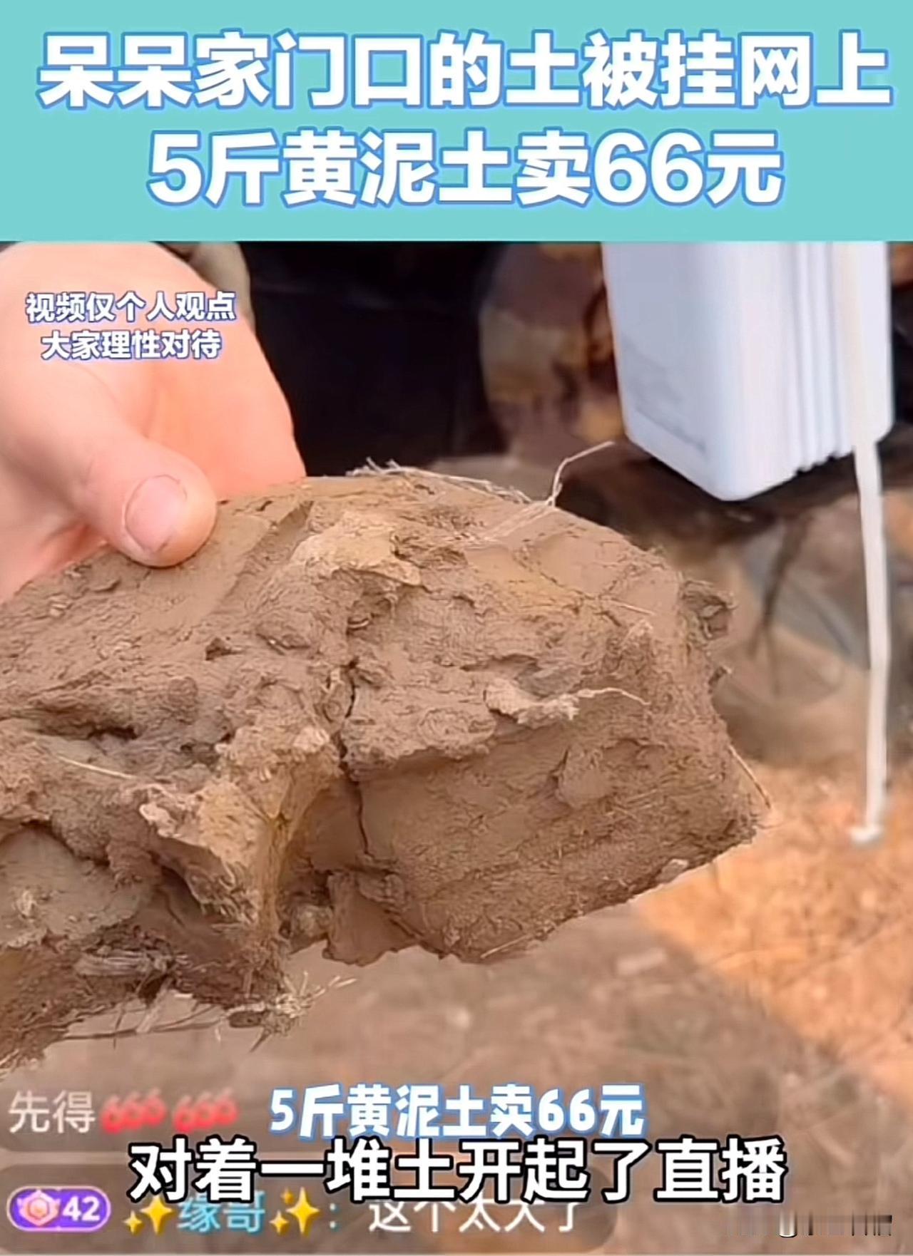 真是一人得道，鸡犬升天，黄土都能变成金！重庆呆呆或许自己都没