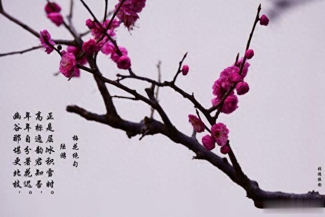 中年人领悟：善待自己，是对人生最大的负责任。这话听着像句安慰。可你仔细看，说