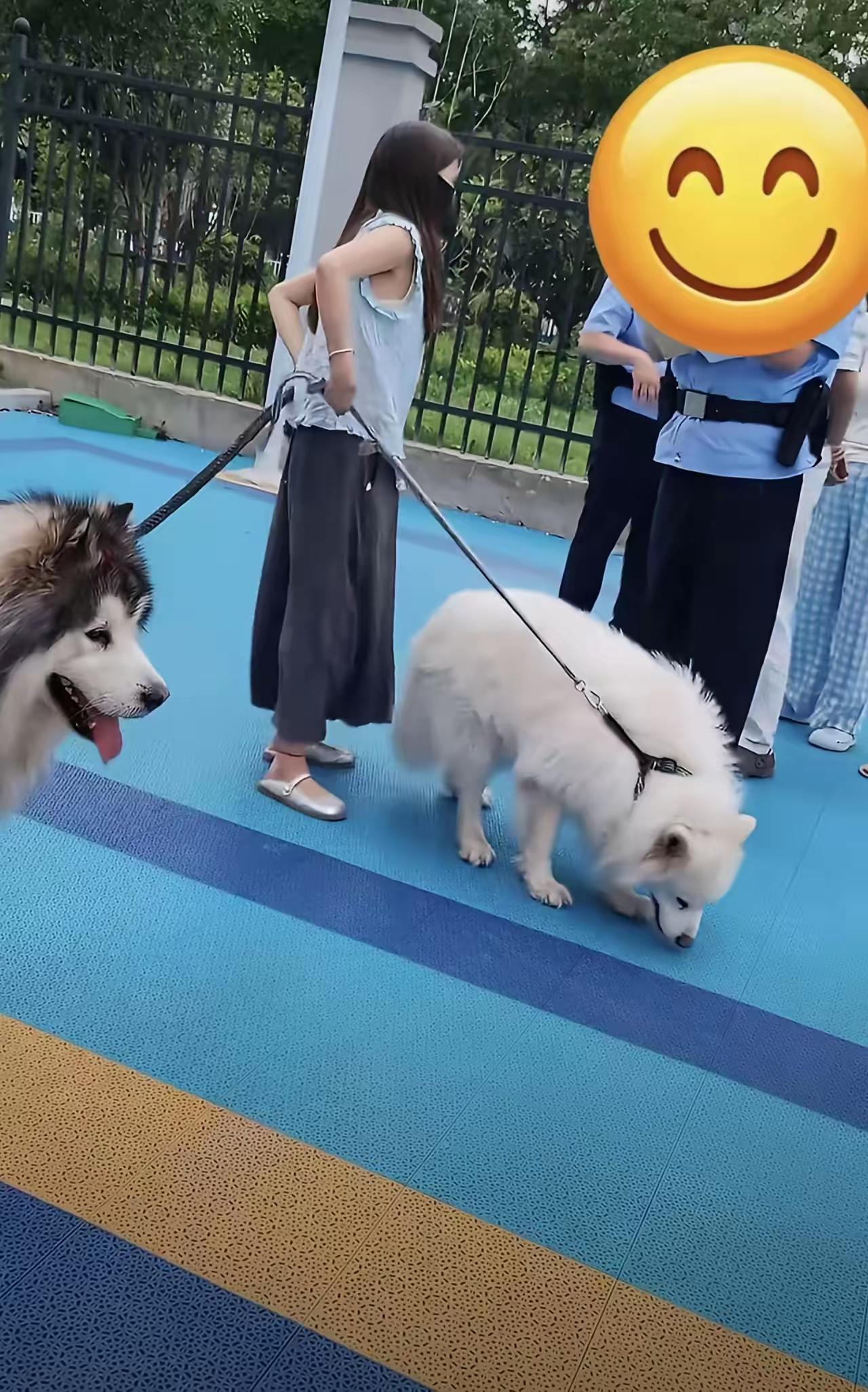 女子牵着两只大型犬在小区里遛，咬到了一个孩子。孩子的家长报了警，民警叔叔了解情况