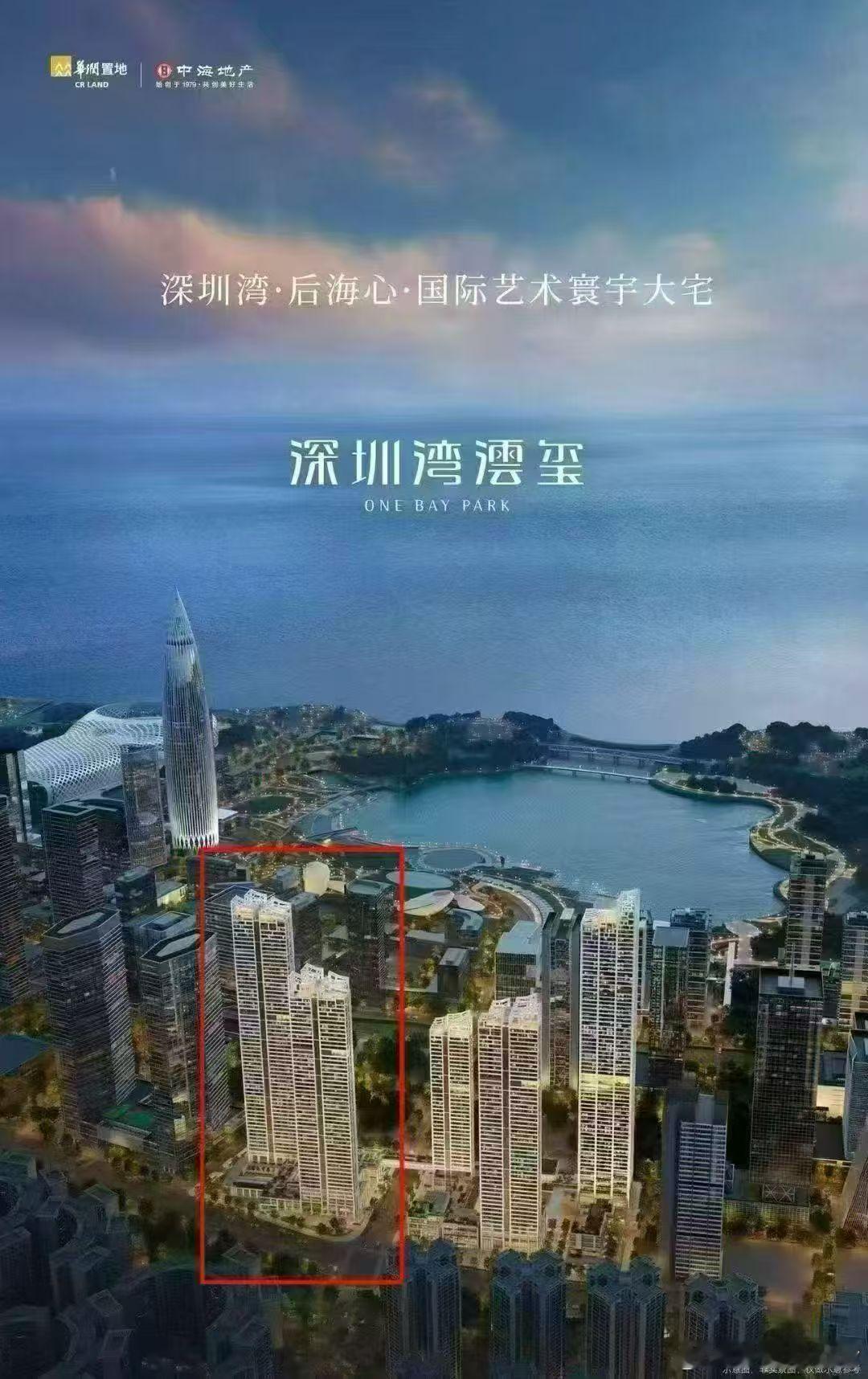 深圳从来不缺有钱人最豪楼盘深圳湾澐玺今日开售过亿一套的卖的7788了深圳
