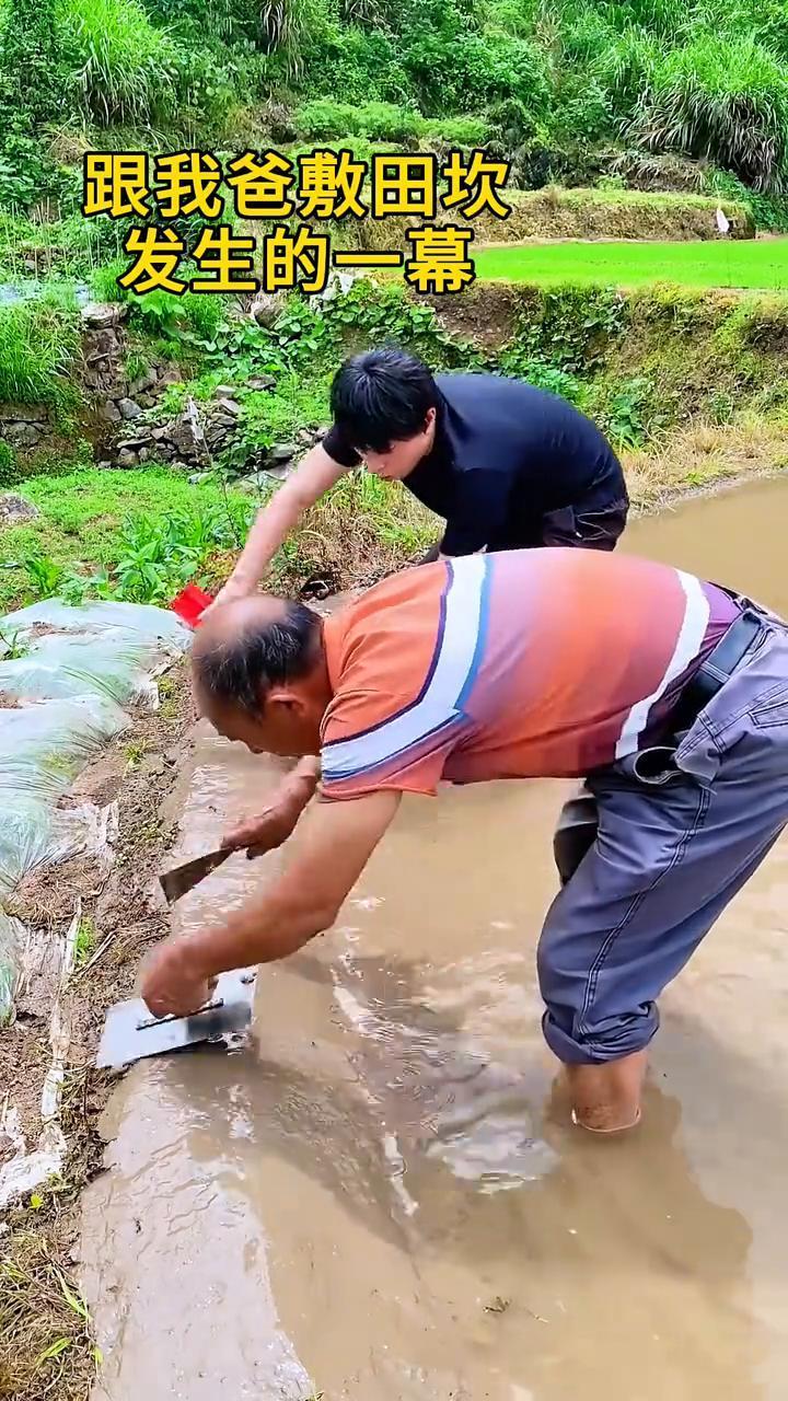 跟我爸敷田坎发生的一幕。