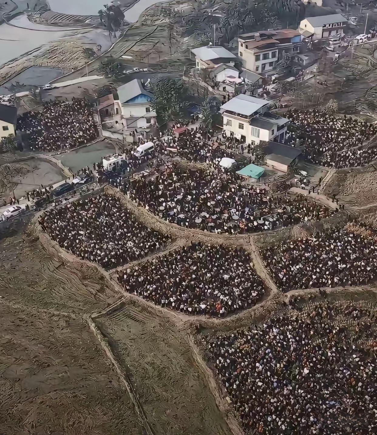 因为两头猪引起的网红聚集地，太牛了