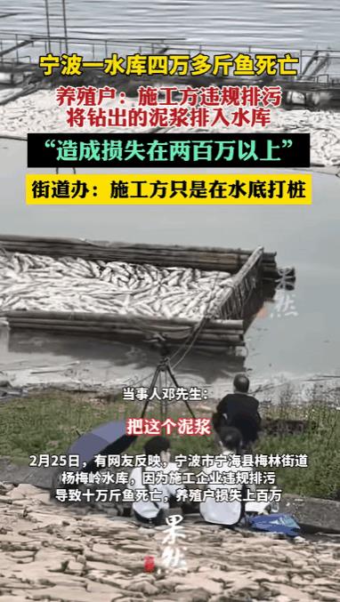 “这简直是一场灾难！”在宁波宁海县梅林街道的杨梅岭水库，养殖户邓先生（化名）望着