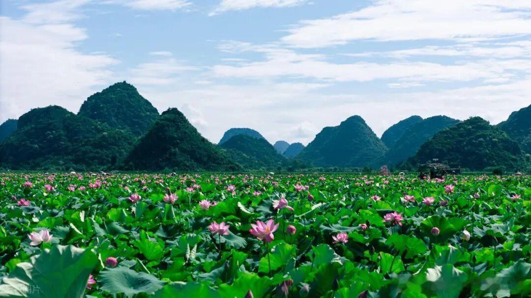 夏天就该奔赴青山绿水，避开燥热躲进自然里，整理8个超适合避暑散心的宝藏地，端