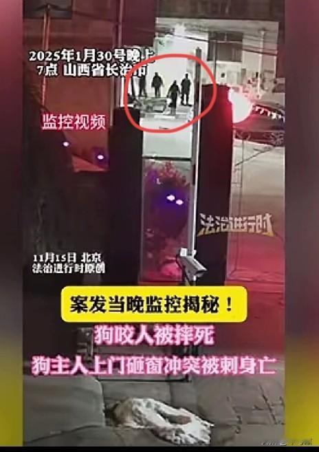 山西“摔狗反杀”案，一段监控撕破了原告的谎言，什么就进去了三个人，光视频里打砸门