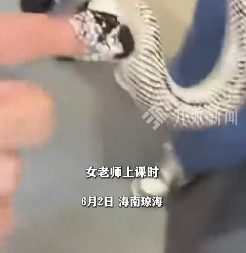 翻车了！湖北某摄影课堂，一老师带养了八年的王蛇给学生当“模特”，本想亲自逗引配合