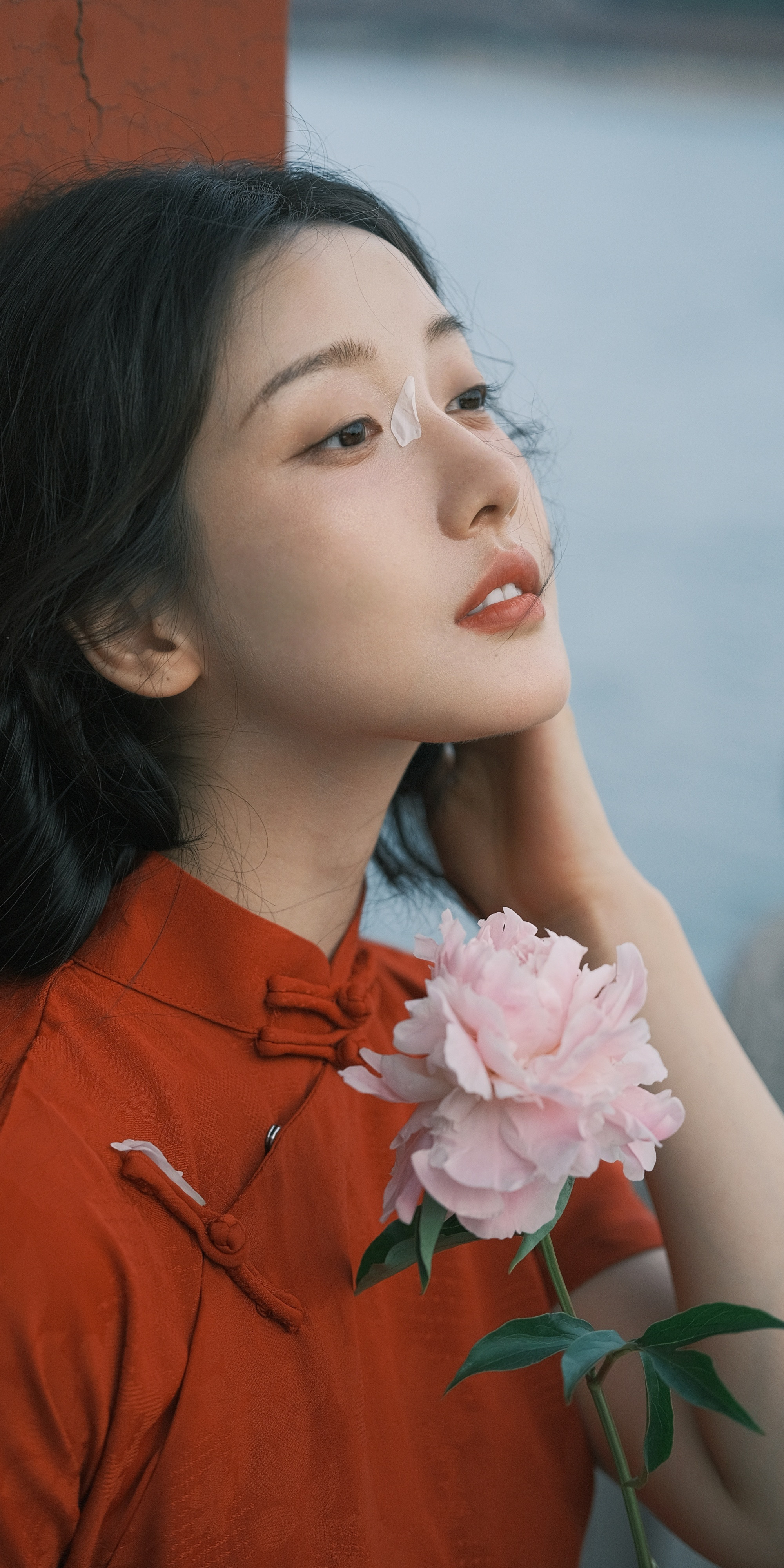 姜贞羽穿搭壁纸：旗袍花美人。姜贞羽