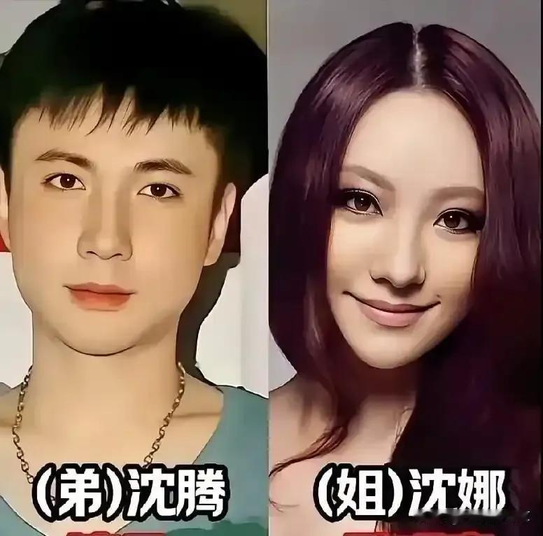 娱乐圈里有这么多亲姐弟，一家人互相扶持，各自在行业里努力打拼，不靠家人光环，凭自