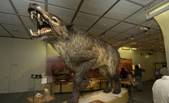 1973年，一头神秘野兽进入部队捕食，被哨兵当场射杀。战士们围上去看时都愣住