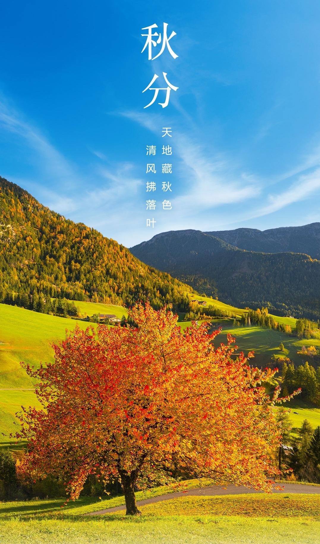 七律：秋分随意随心/赋夕阳杏叶艳金妆，暖意融融散发光；静谧温馨诗赋曲，苍