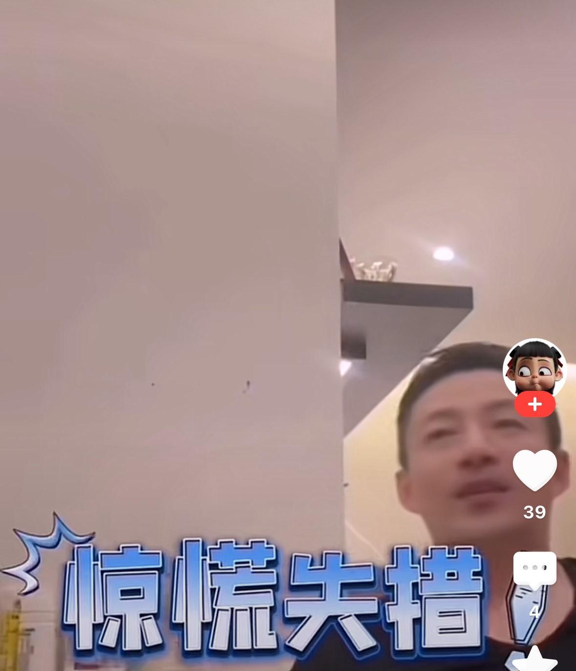 汪小菲说，自从有了汪希霖都不怕老鼠了，现在更怕汪希霖，原因是….汪希霖也真调皮