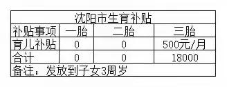 辽宁省沈阳市的生育福利政策概览如下：首胎暂无额外补助；次胎同样未设专项补贴