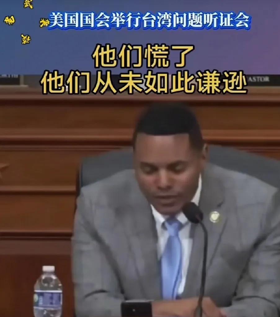 最近M国国会讨沦T湾问题听证会上，有这么一段对话，坎贝尔博士，您是否同意关键矿产